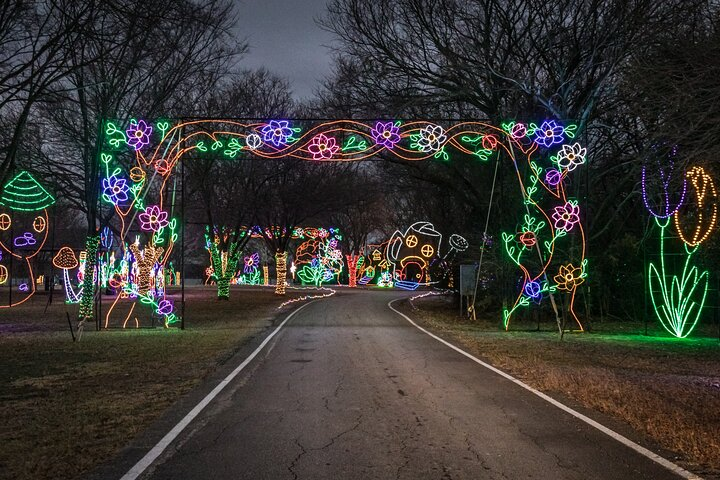 LIghts of Joy Christmas Light Drive-Thru - Photo 1 of 15